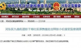 山东临沂爆料最新,最新爆料揭示惊人真相