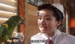 富贵兵团粤语在线观看,笑料百出，欢乐无限